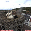15_05-nest.jpg