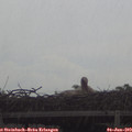 17_55-mast.jpg