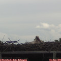 18_05-mast.jpg