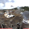 18_05-nest.jpg