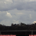 14_05-mast.jpg