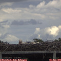 14_20-mast.jpg