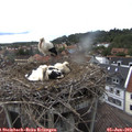 14_55-nest.jpg