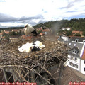 15_00-nest.jpg