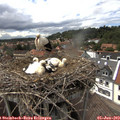 15_05-nest.jpg