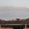 18_35-mast.jpg