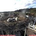 18_40-nest.jpg
