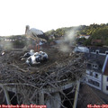 19_25-nest.jpg