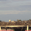 19_45-mast.jpg