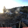 20_30-nest.jpg