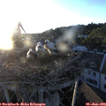 20_35-nest.jpg