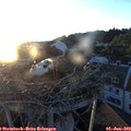 20_55-nest.jpg