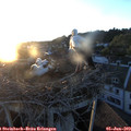 21_00-nest.jpg