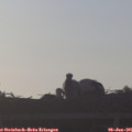 06_35-mast.jpg