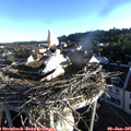 06_45-nest.jpg