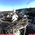 06_55-nest.jpg
