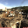 08_15-nest.jpg