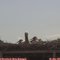 09_55-mast.jpg