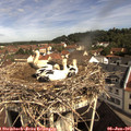 09_55-nest.jpg
