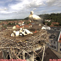 10_45-nest.jpg
