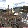 15_05-nest.jpg