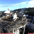 07_05-nest.jpg