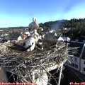 07_40-nest.jpg