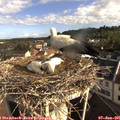 08_35-nest.jpg