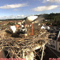 08_55-nest.jpg