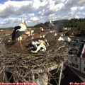 09_25-nest.jpg