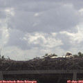 10_05-mast.jpg