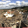 10_05-nest.jpg