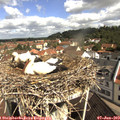 10_15-nest.jpg