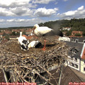 12_15-nest.jpg