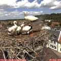 12_25-nest.jpg