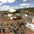 13_35-nest.jpg
