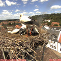 13_40-nest.jpg
