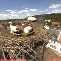 14_00-nest.jpg