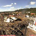 15_05-nest.jpg