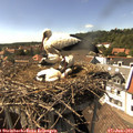 15_45-nest.jpg