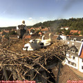 15_55-nest.jpg