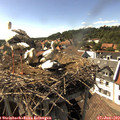 16_25-nest.jpg