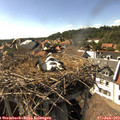 16_30-nest.jpg