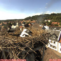 16_35-nest.jpg