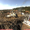 16_40-nest.jpg