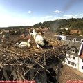 16_45-nest.jpg