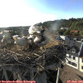 18_30-nest.jpg