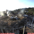 19_40-nest.jpg