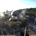 19_45-nest.jpg