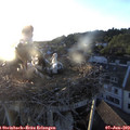 20_25-nest.jpg